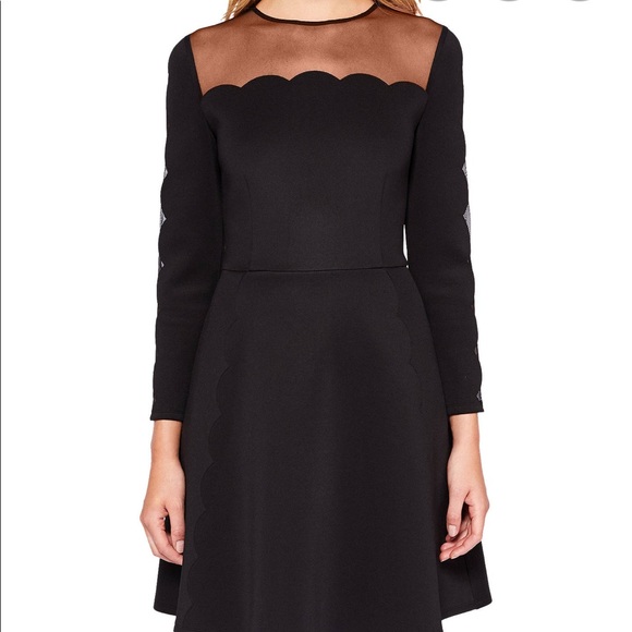 Ted Baker Kikoh Mesh Skater dress Size 8 - Picture 3 of 7